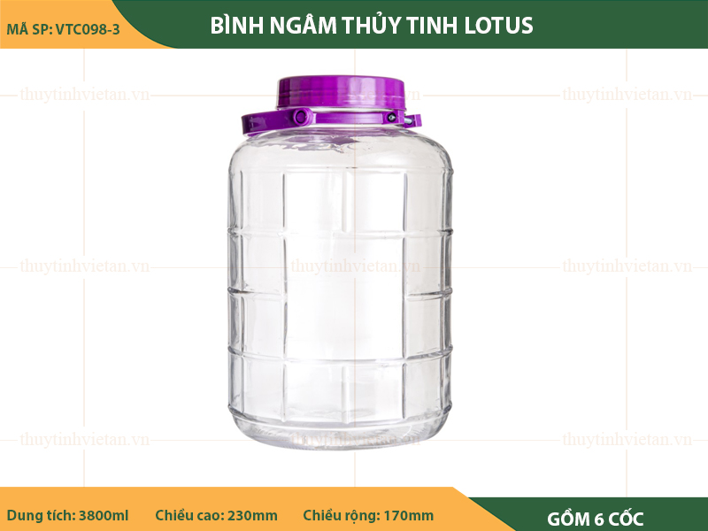 Bình ngâm thủy tinh lotus kẻ sọc vuông