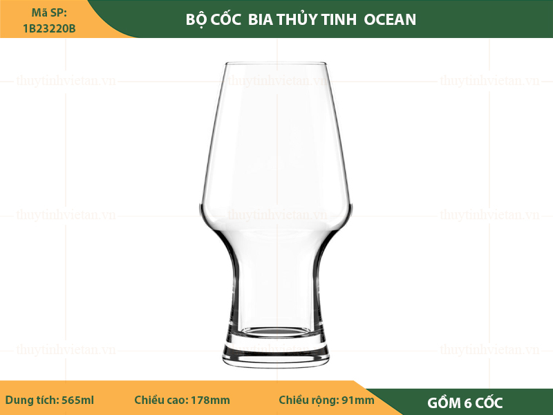 Bộ cốc thủy tinh uống bia Ocean