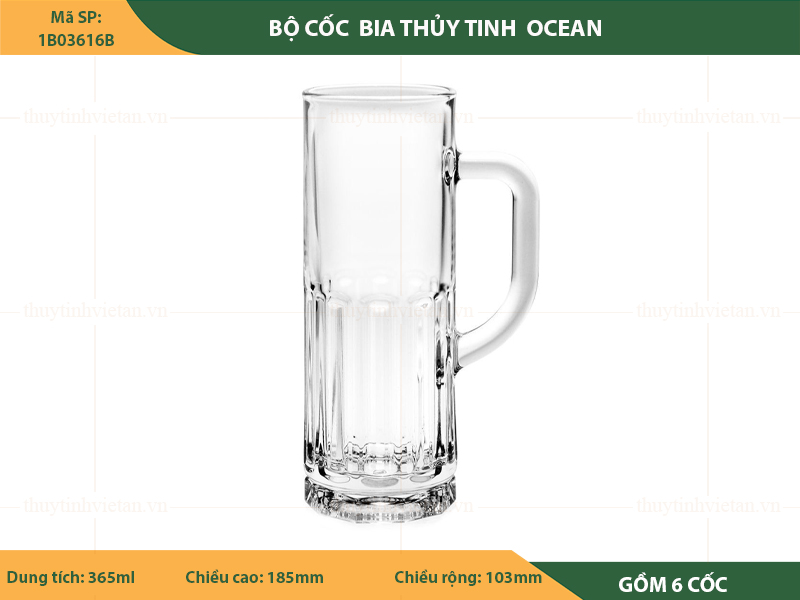 Bộ cốc thủy tinh uống bia Ocean