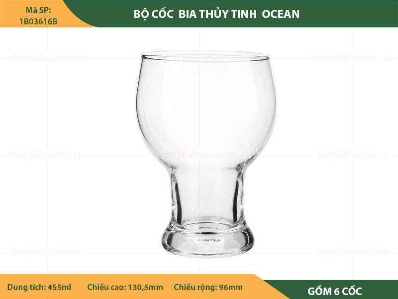 Bộ cốc thủy tinh uống bia Ocean